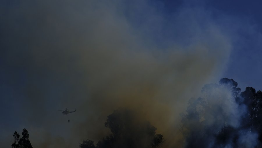 Declaran Alerta Roja para la comuna de Vallenar por incendio forestal cercano a sectores habitados