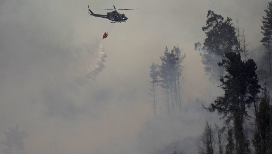 Extinguen el incendio forestal en Panquehue y cancelan la Alerta Amarilla: siniestro consumió 7.1 hectáreas