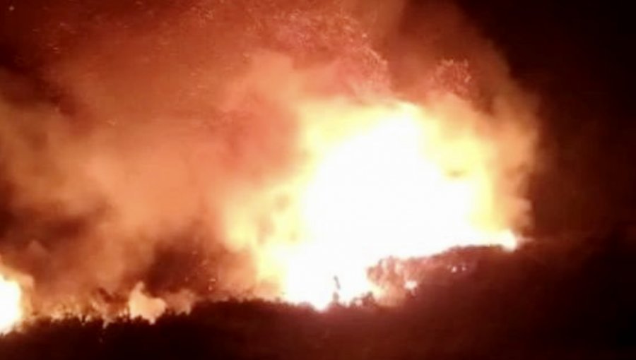 Declaran Alerta Amarilla en Coronel por incendio forestal que afecta a la isla Santa María: fuego se acerca a sectores habitados