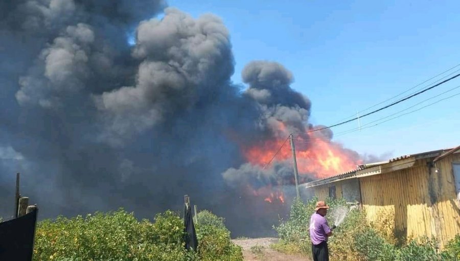 Incendio forestal se propaga y consume bodegas agrícolas en la ruta 5 Norte en Nogales