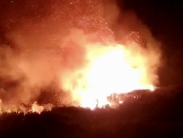 Declaran Alerta Amarilla en Coronel por incendio forestal que afecta a la isla Santa María: fuego se acerca a sectores habitados