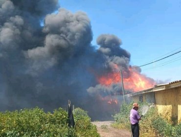Incendio forestal se propaga y consume bodegas agrícolas en la ruta 5 Norte en Nogales