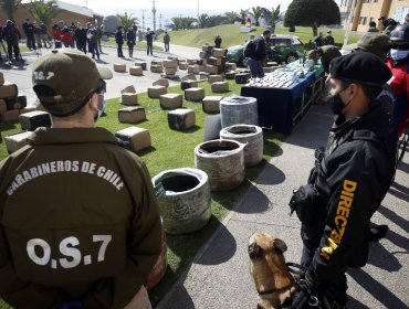 Perro policial detecta 27 kilos de drogas transportados en un camión en Nogales