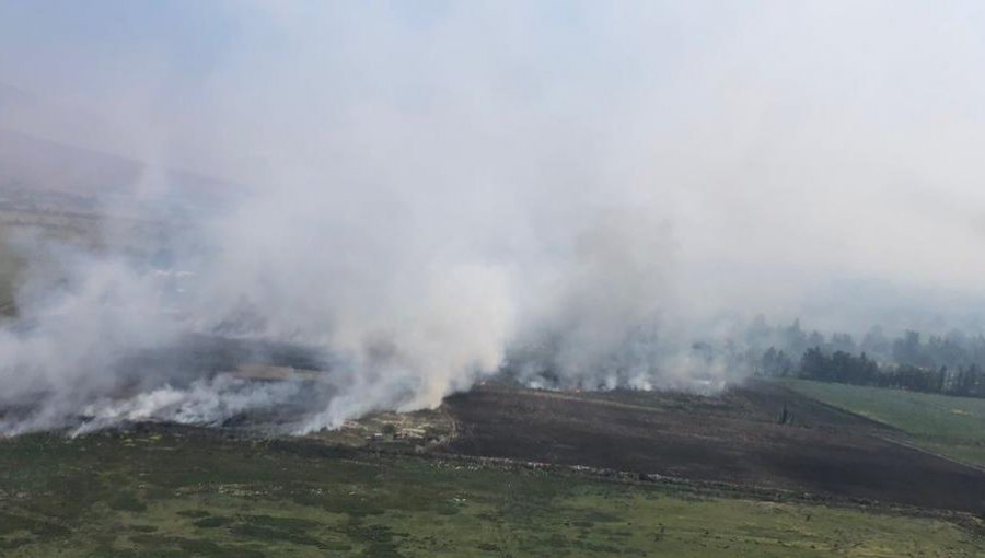 Declaran Alerta Roja para la comuna de Lampa por incendio forestal cercano a sectores habitados