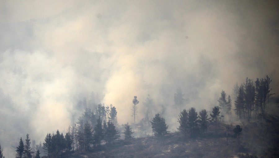 Incendios forestales en la región de Los Lagos han consumido al menos 12 hectáreas