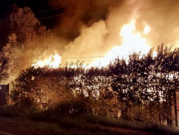 Incendio destruye tres cabañas en la ribera del lago Lanalhue de Contulmo: Carabineros investiga si se trató de un ataque