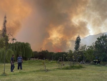 Inician acciones legales por incendio forestal que pudo desatar una tragedia en zona residencial de la comuna de Panquehue