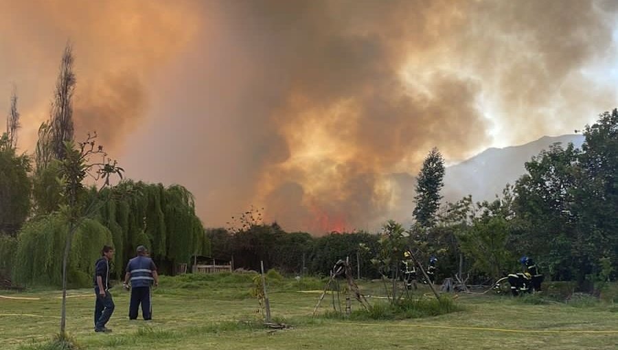 Inician acciones legales por incendio forestal que pudo desatar una tragedia en zona residencial de la comuna de Panquehue