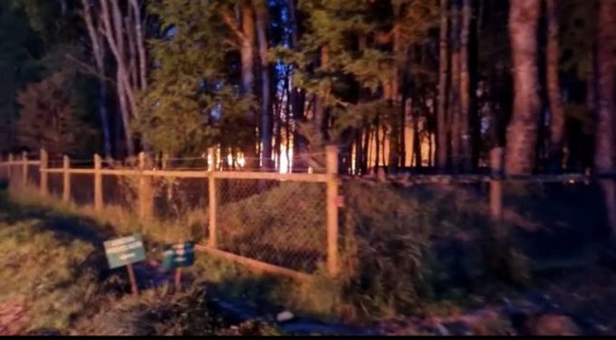Nuevo ataque incendiario de gran magnitud en la Región de Los Ríos: Quemaron campamento completo de Forestal Arauco