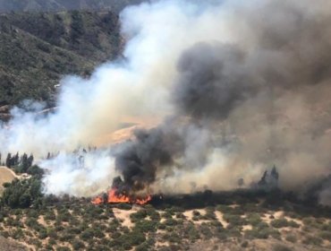 Declaran Alerta Roja para la comuna de Hijuelas por incendio forestal cercano a sectores habitados