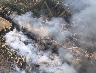 35 hectáreas ha consumido el incendio forestal en el sector Hualcapo de Hijuelas: se mantiene la Alerta Roja
