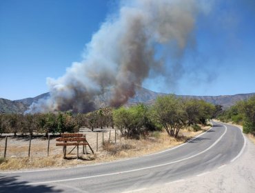 Activo y con Alerta Roja se mantiene incendio forestal en sector Hualcapo de Hijuelas: 35 hectáreas han sido consumidas