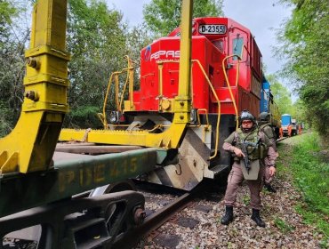 Tren de carga descarriló en Máfil: Fiscalía investiga presunta intencionalidad por "corte de un riel"