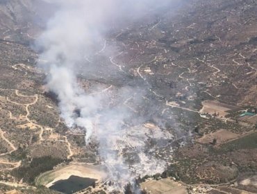 Sin avance y con actividad de baja intensidad se encuentra el incendio forestal en Hijuelas: 36 hectáreas han sido consumidas