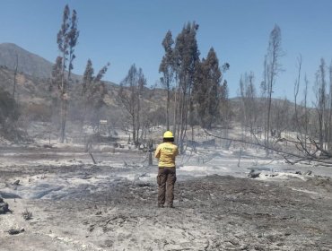 Cancelan la Alerta Roja en Hijuelas tras controlar el incendio forestal en el sector Hualcapo: 36 hectáreas fueron consumidas