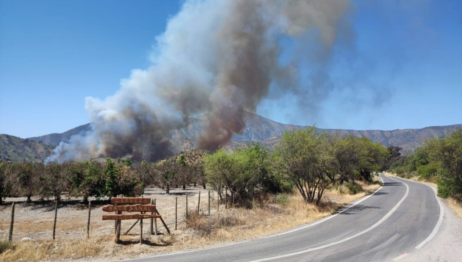 Activo y con Alerta Roja se mantiene incendio forestal en sector Hualcapo de Hijuelas: 35 hectáreas han sido consumidas