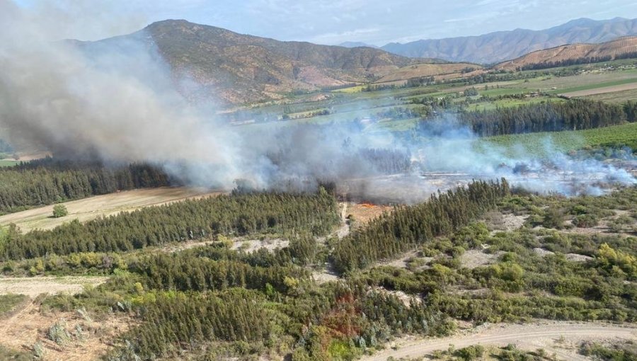 20 hectáreas ha consumido incendio forestal en sector Puente Ingeniero Marambio Antiguo de Melipilla