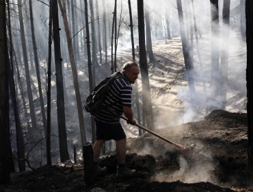 Onemi declaró Alerta Roja para Paredones por incendio forestal