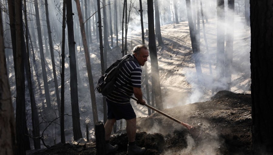 Onemi declaró Alerta Roja para Paredones por incendio forestal