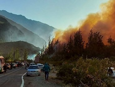 Dantesco incendio en Monte Patria ya arrasa con al menos 30 viviendas: Se decretó Alerta Roja