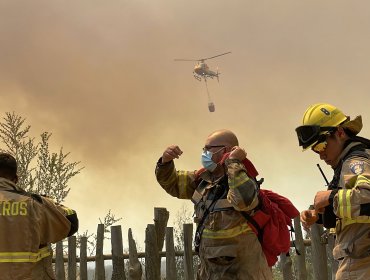 Seis comunas a nivel nacional se encuentran con Alerta Roja por sendos incendios forestales
