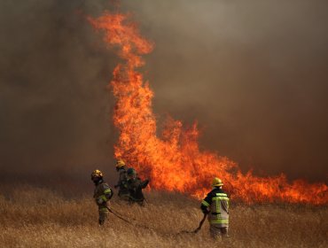 Al menos 15 incendios forestales entre Coquimbo y el Maule