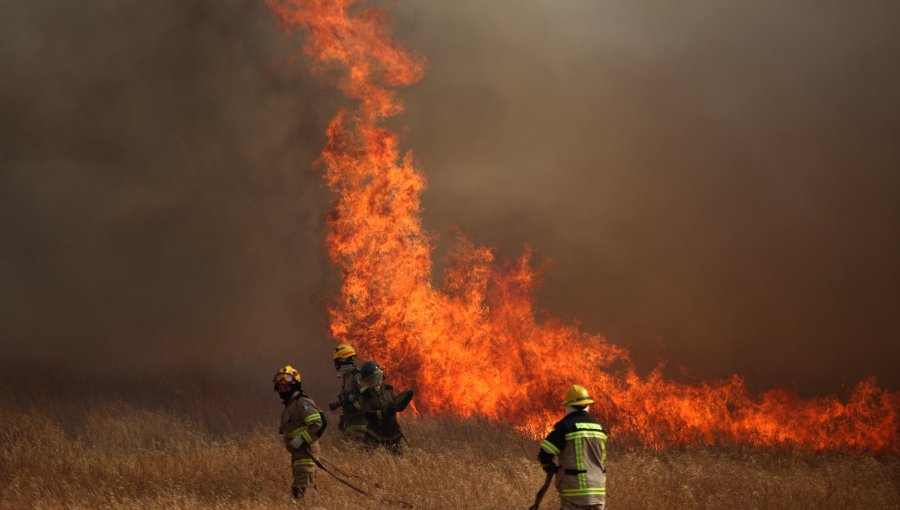 Al menos 15 incendios forestales entre Coquimbo y el Maule