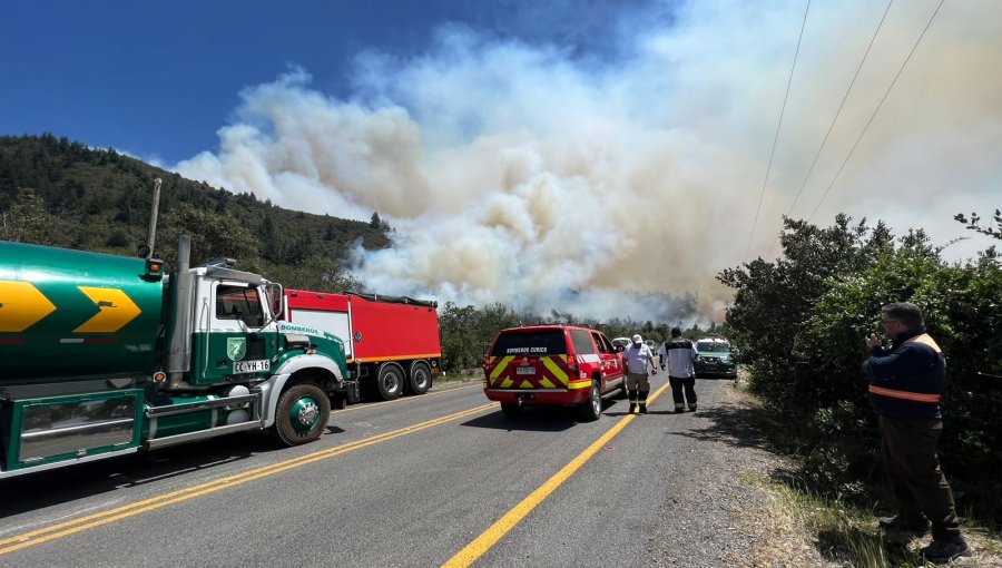Presidente Boric anunció un amplio operativo de emergencia para enfrentar incendios forestales entre Coquimbo y Maule