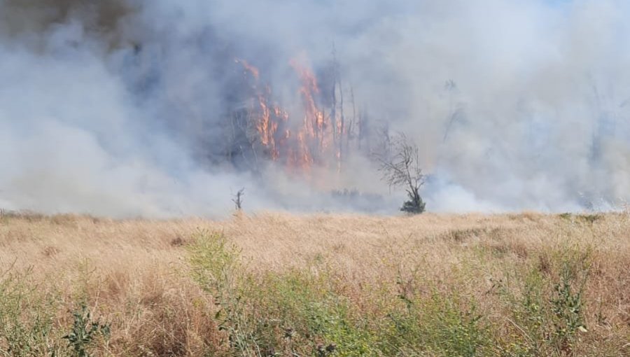 Extinguen el incendio forestal en Limache y cancelan la Alerta Amarilla para la comuna: 6,5 hectáreas fueron consumidas