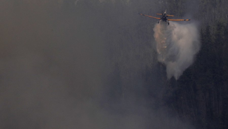 Controlan el incendio forestal en San Clemente y cancelan la Alerta Roja para la comuna: 125 hectáreas han sido consumidas