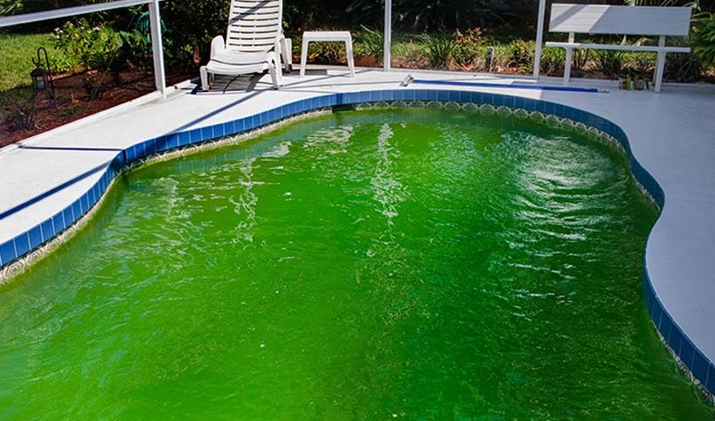 Consejos para aclarar una piscina “verde” en pocos días y tener una mantención eficiente