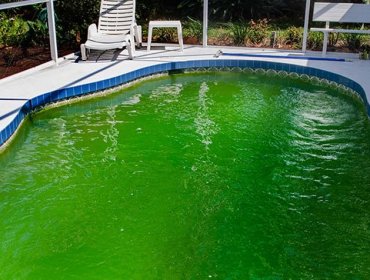 Consejos para aclarar una piscina “verde” en pocos días y tener una mantención eficiente