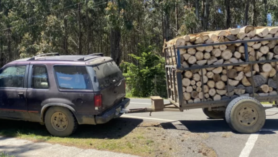 Tres personas fueron detenidas por robo de madera en La Unión