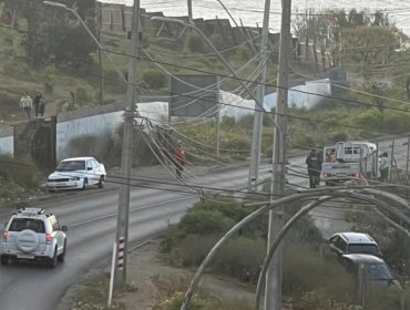 Toma masiva de terreno en Cartagena: Al menos 20 personas se instalan en sitio de particular y Carabineros solo empadrona a ocupantes