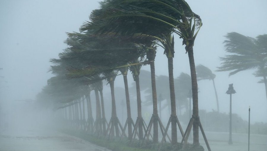 La tormenta Nicole se fortalece mientras se dirige a Florida donde se espera que toque tierra como huracán