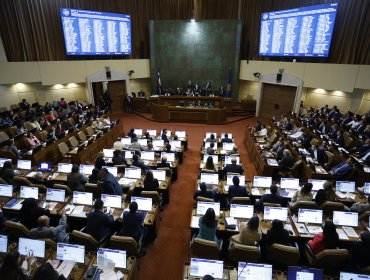 Cámara de Diputados aprueba el proyecto que extiende el postnatal de emergencia hasta el 31 de diciembre