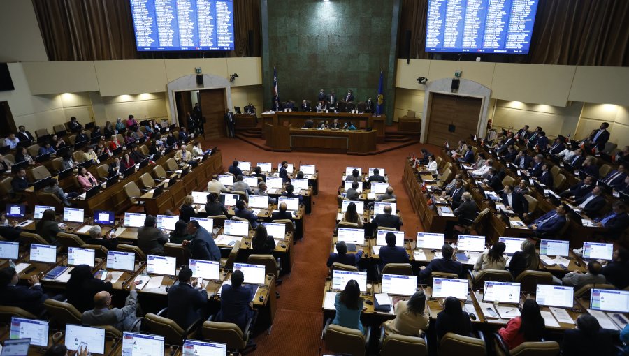 Cámara de Diputados aprueba el proyecto que extiende el postnatal de emergencia hasta el 31 de diciembre