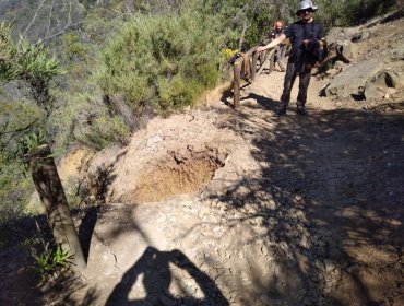 Conaf cierra el sector Granizo del Parque Nacional La Campana por peligroso socavón en popular ruta