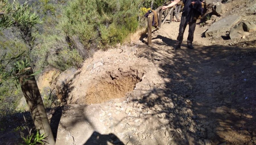 Conaf cierra el sector Granizo del Parque Nacional La Campana por peligroso socavón en popular ruta