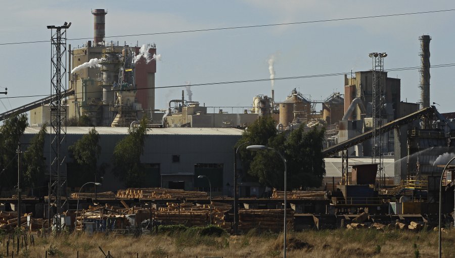 Accidente medioambiental se registró en planta Celulosa Arauco Constitución