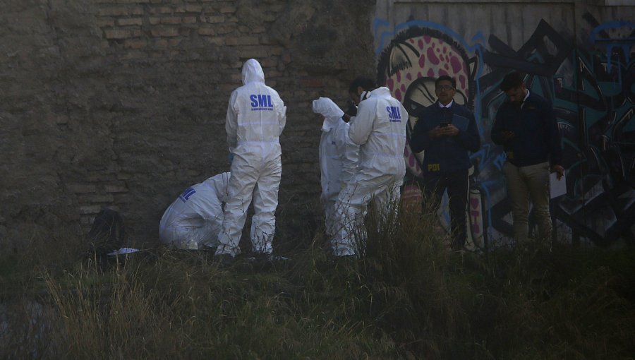 Macabro hallazgo en aserradero de Osorno: trabajador encontró un cráneo humano