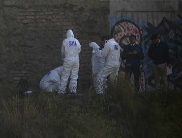 Macabro hallazgo en aserradero de Osorno: trabajador encontró un cráneo humano