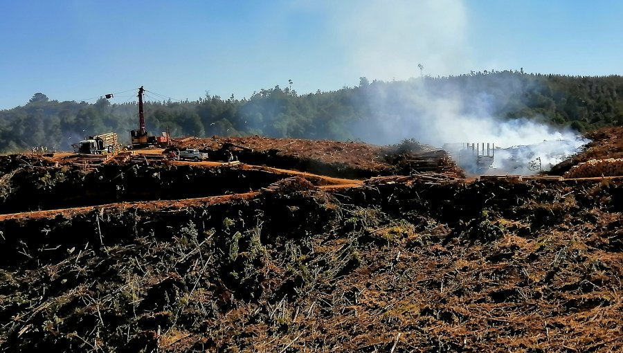 Nuevo ataque incendiario en La Araucanía: Casa de guarda parques del Nahuelbuta entre los afectados