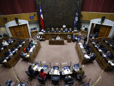 Senado aprobó el proyecto que extiende el postnatal de emergencia hasta el 31 de diciembre