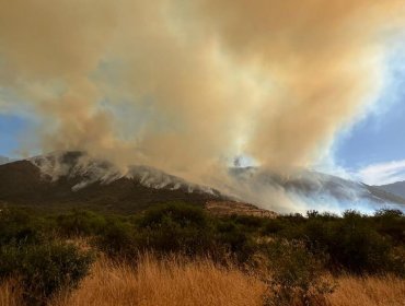 Declaran Alerta Roja en dos comunas de la región Metropolitana por incendios forestales