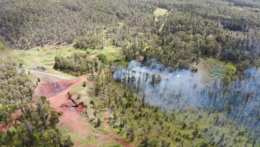 Incendio forestal consumió al menos tres hectáreas en Isla de Pascua: Cancelan la Alerta Roja para la comuna