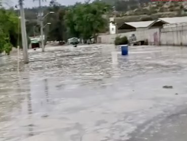 Masiva pérdida de agua en Quilpué: Roturas de matrices de Esval dejan sin suministro a dos sectores distintos de El Belloto