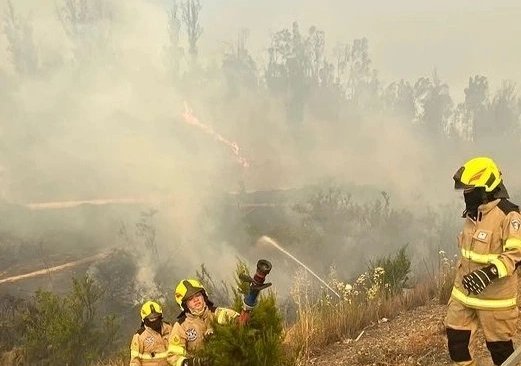 Incendio forestal ha consumido cerca de 300 hectáreas en Quilpué: se evacuaron viviendas y una escuela en sector Hacienda Las Palmas