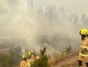 Incendio forestal ha consumido cerca de 300 hectáreas en Quilpué: se evacuaron viviendas y una escuela en sector Hacienda Las Palmas