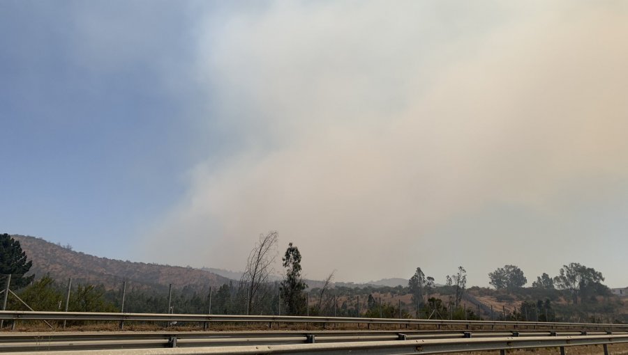 Incendio forestal en sector Hacienda Las Palmas de Quilpué: siniestro presenta avance rápido y múltiples focos